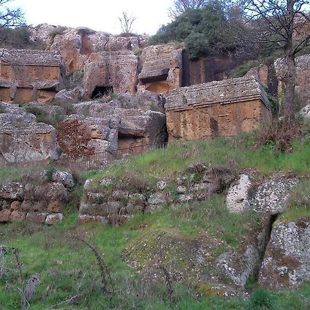 فيترالّا Forum Cassii المظهر الخارجي الصورة