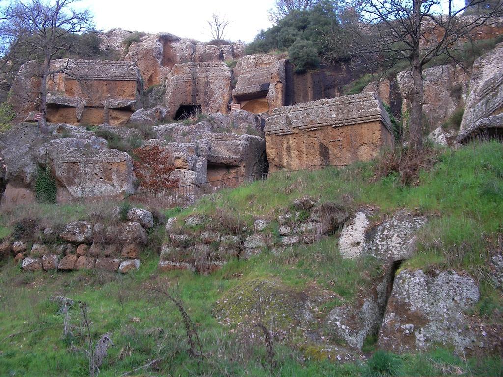 فيترالّا Forum Cassii المظهر الخارجي الصورة